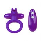 Entice Adelle Cockring Paars