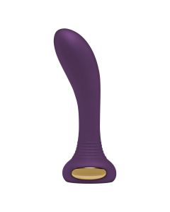 Luz Zare Vibrator Paars