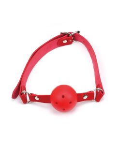 Fetish Store Ball Gag Rood