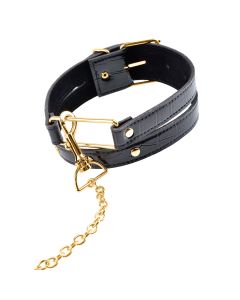 Collar_&_Leash