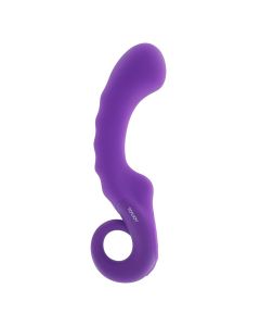 ToyJoy Caresse Era Vibrator Paars