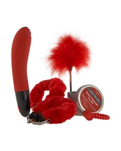 ToyJoy JFY Luxe Box No. 4 Rood
